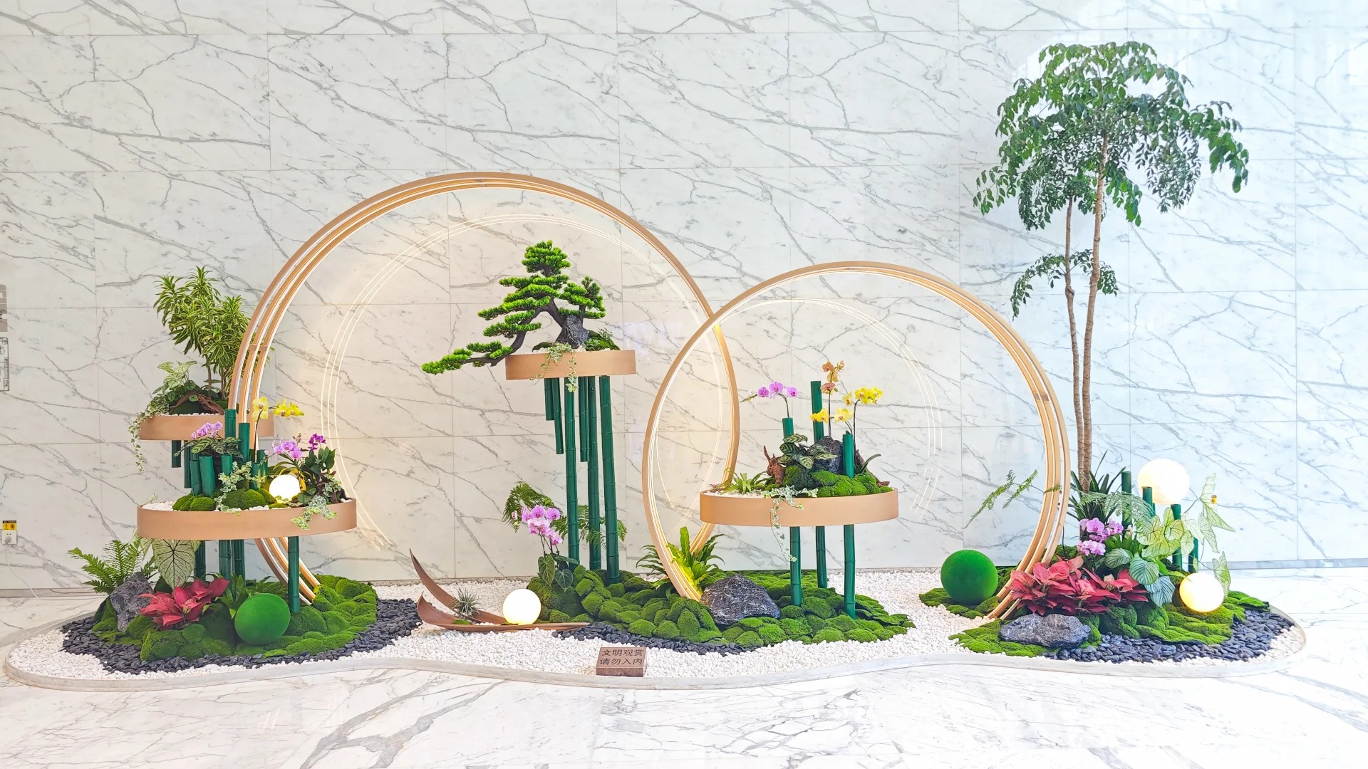 了解宁波杭州湾植物出租,焕新您的空间环境